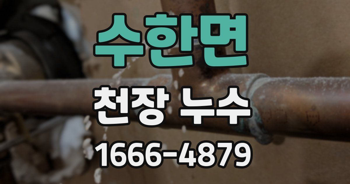 수한면 천장 누수