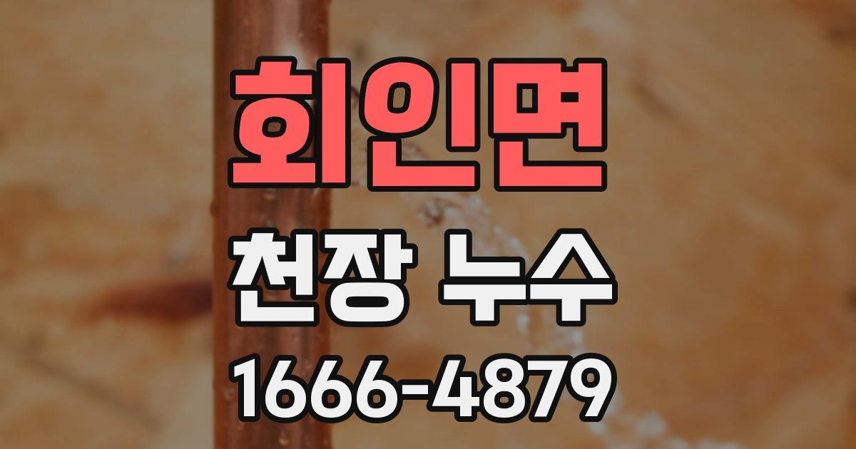 회인면 천장 누수