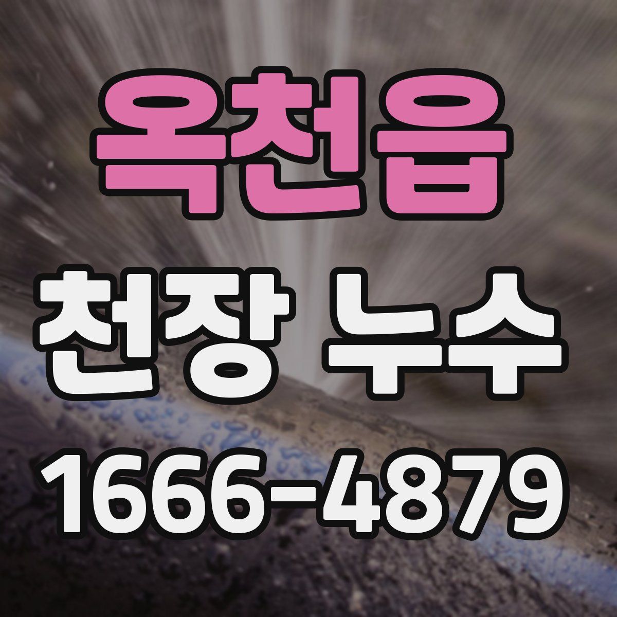 옥천읍 천장 누수