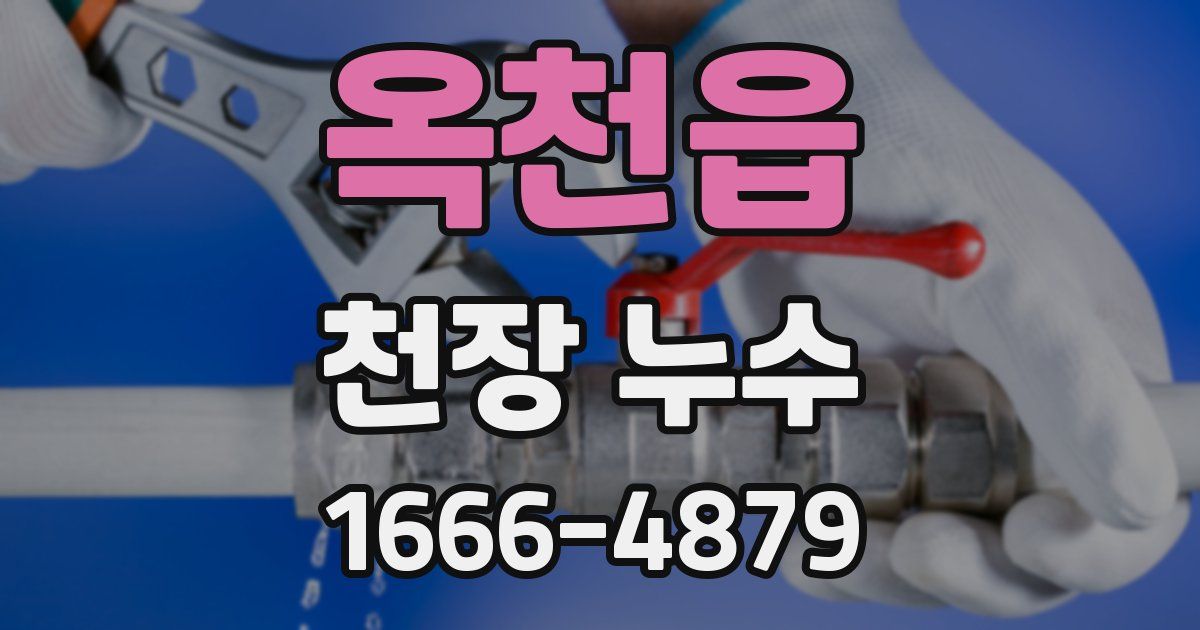 옥천읍 천장 누수