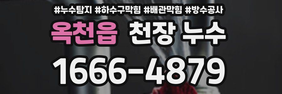 옥천읍 천장 누수