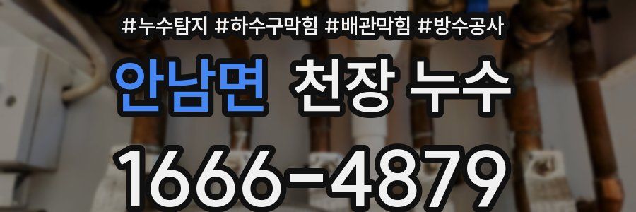 안남면 천장 누수
