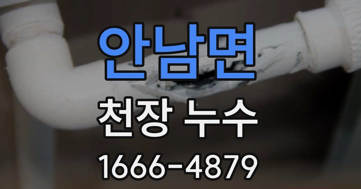 안남면 천장 누수