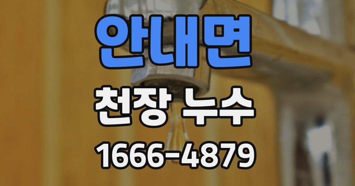 안내면 천장 누수