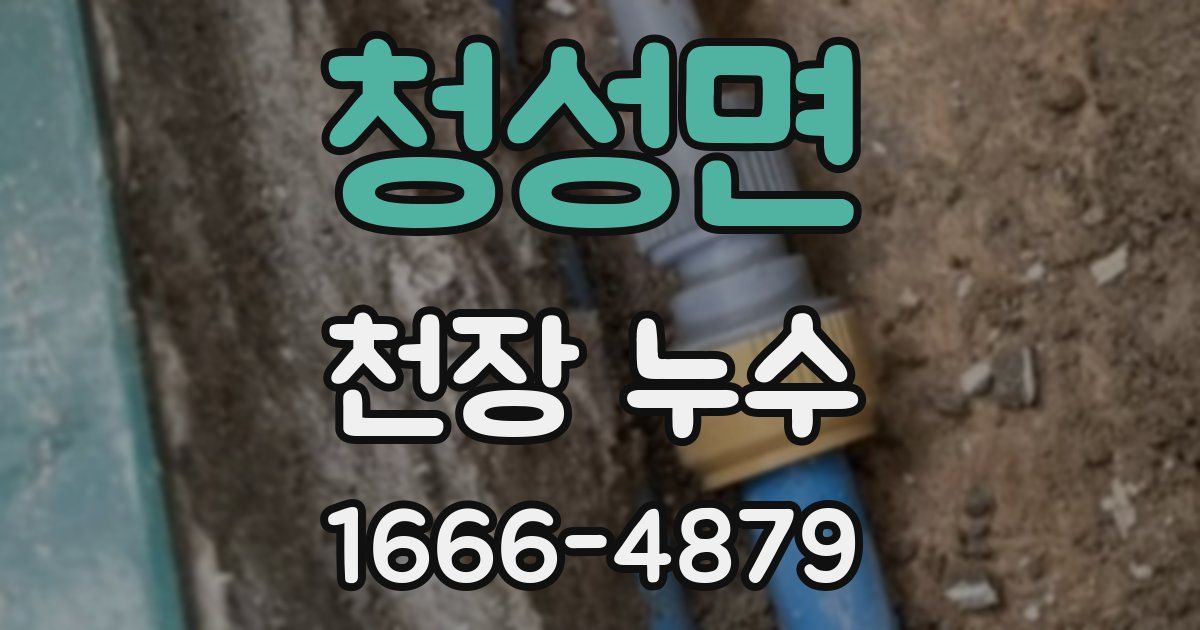 청성면 천장 누수