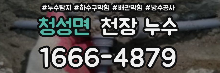 청성면 천장 누수