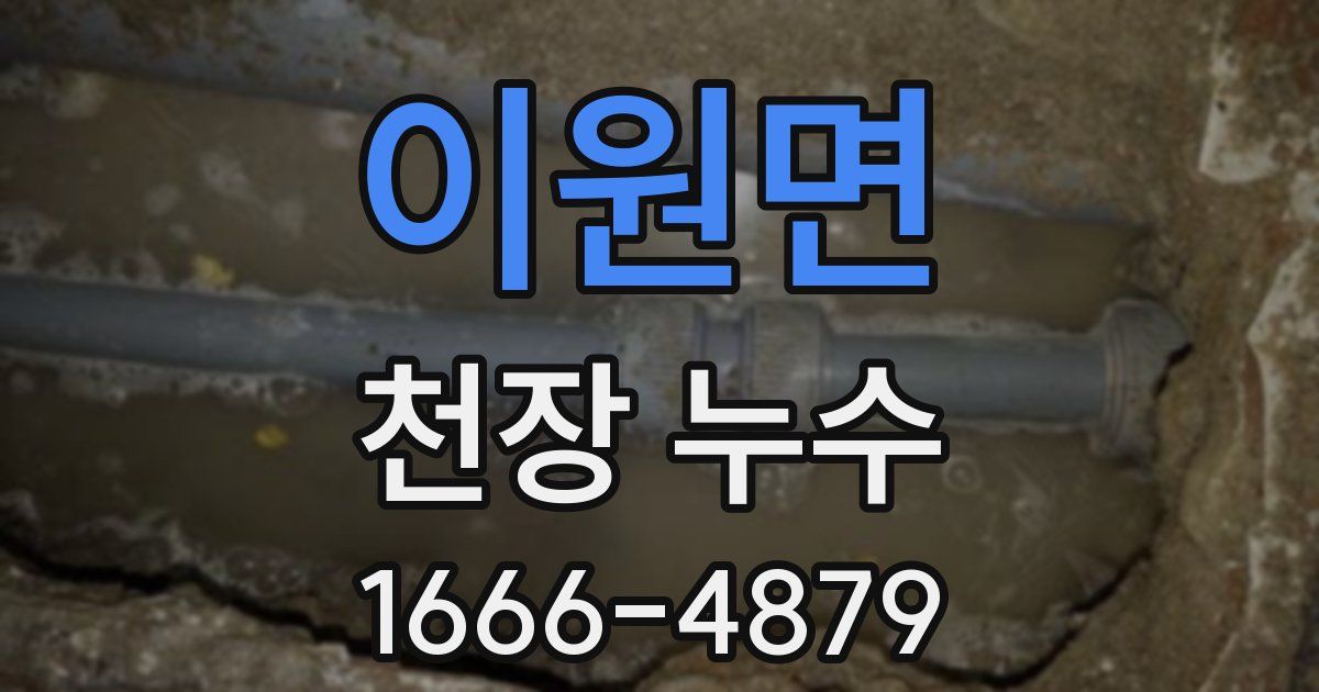 이원면 천장 누수