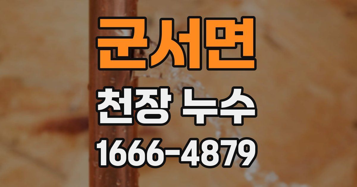 군서면 천장 누수