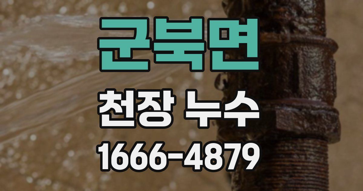 군북면 천장 누수