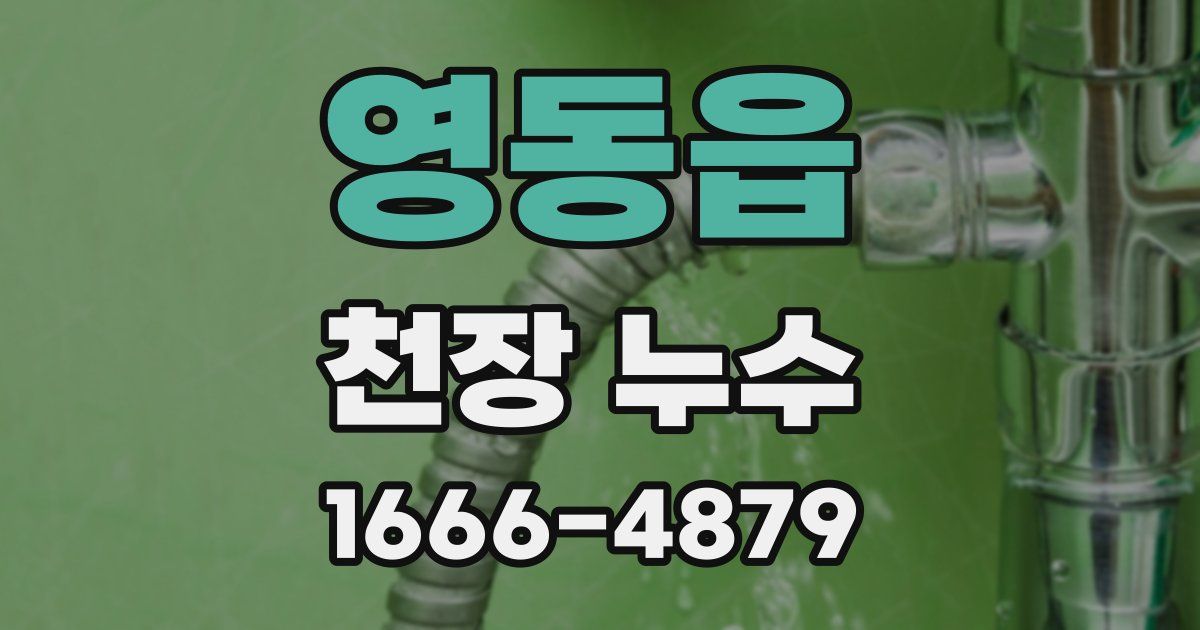 영동읍 천장 누수