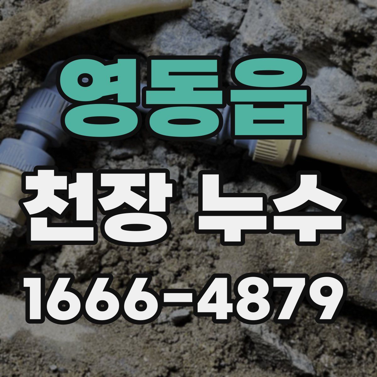 영동읍 천장 누수