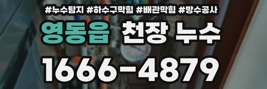 영동읍 천장 누수