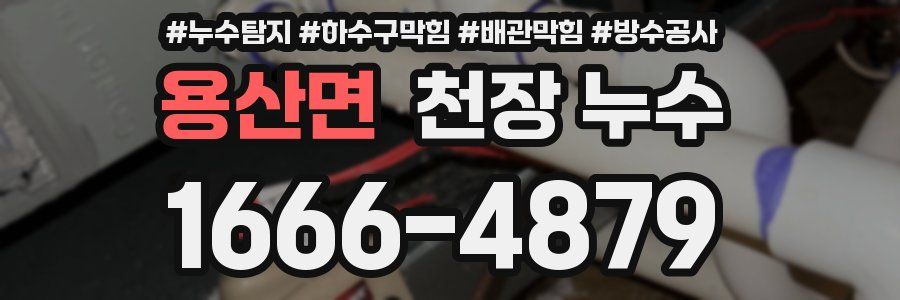 용산면 천장 누수