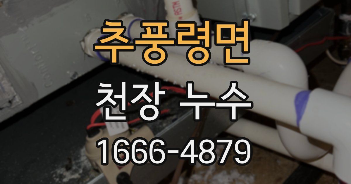 추풍령면 천장 누수