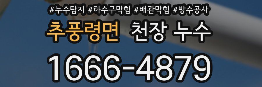 추풍령면 천장 누수