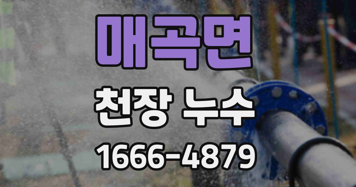 매곡면 천장 누수