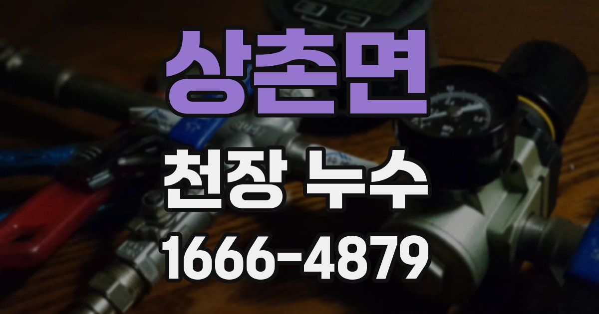 상촌면 천장 누수