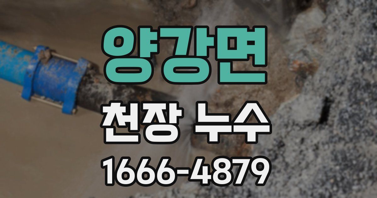 양강면 천장 누수