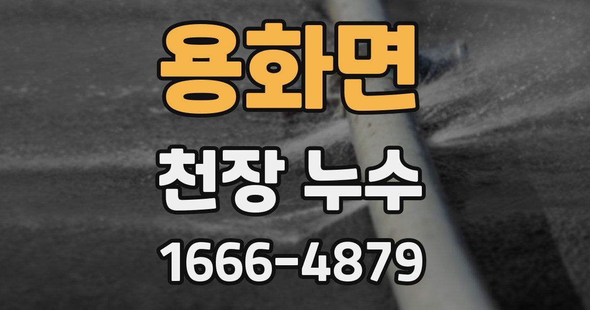 용화면 천장 누수