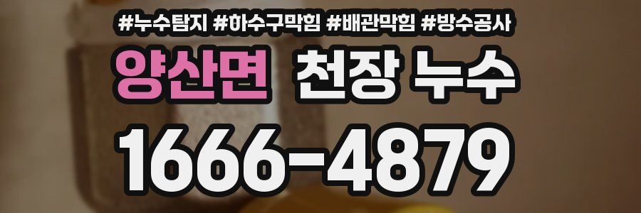 양산면 천장 누수