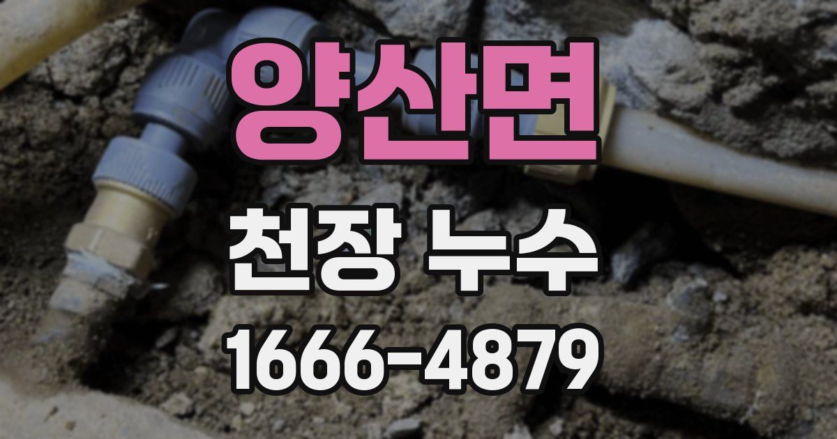 양산면 천장 누수