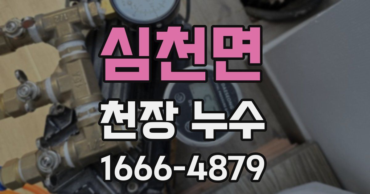 심천면 천장 누수