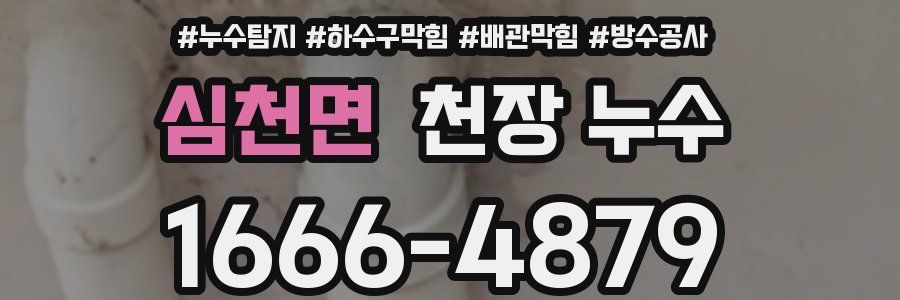 심천면 천장 누수