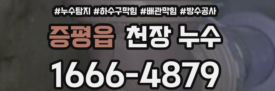 증평읍 천장 누수