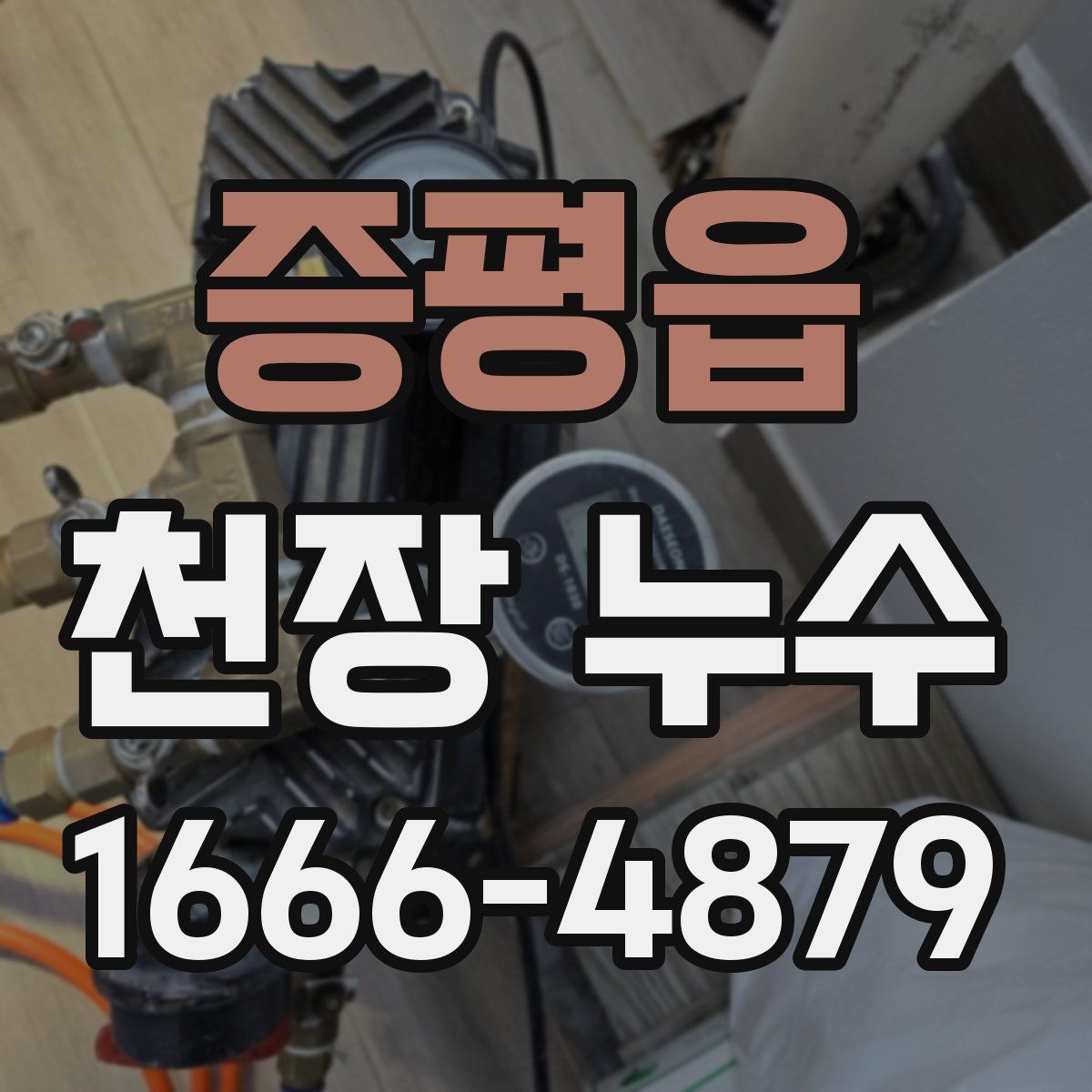 증평읍 천장 누수