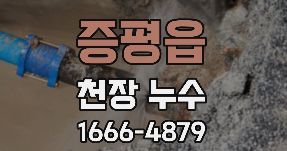 증평읍 천장 누수
