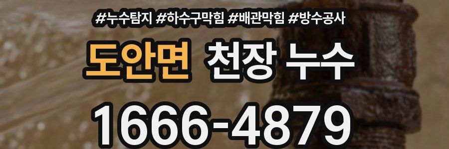 도안면 천장 누수