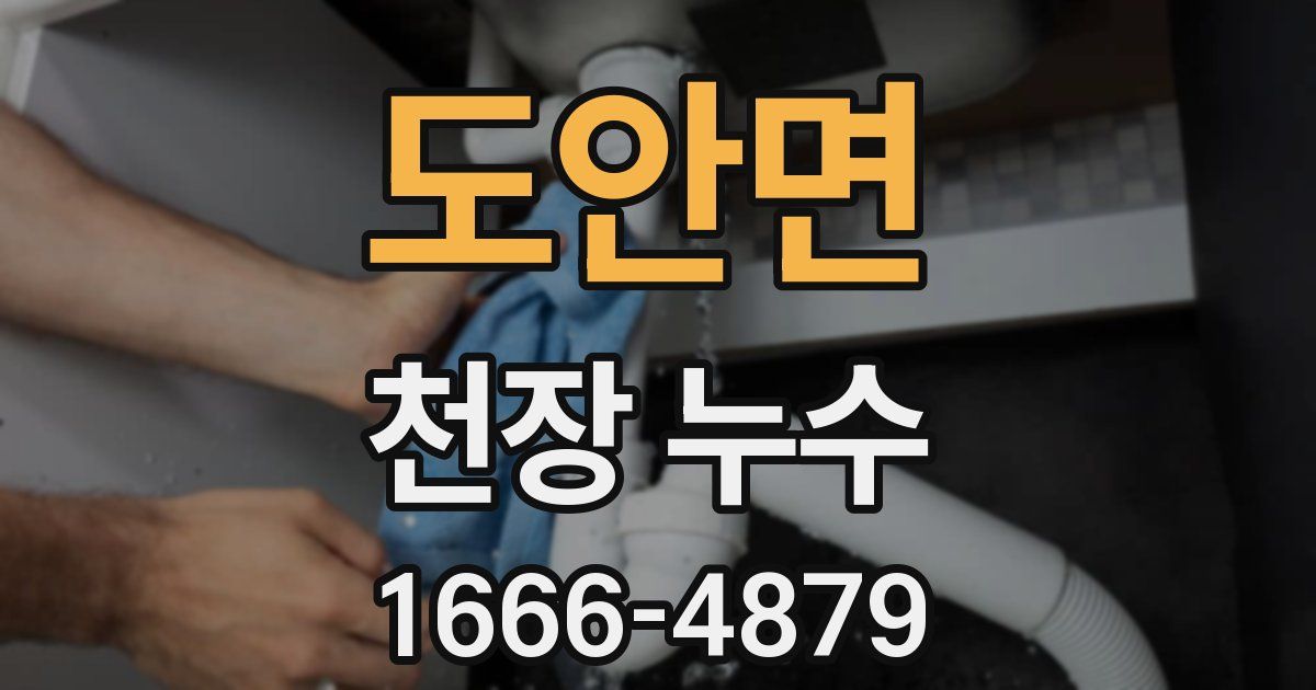 도안면 천장 누수