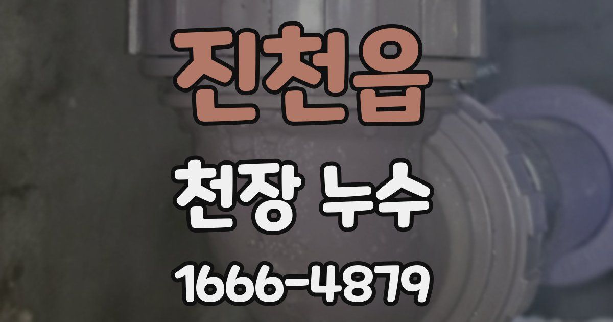 진천읍 천장 누수