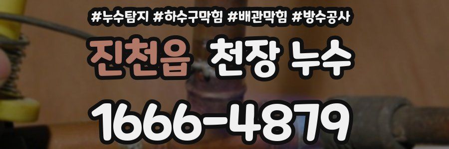 진천읍 천장 누수