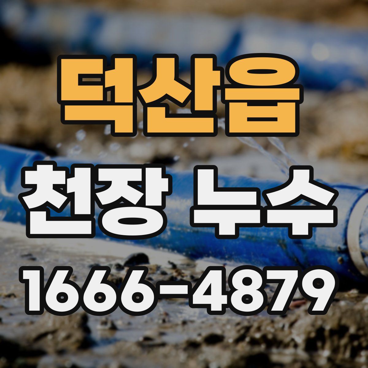 덕산읍 천장 누수