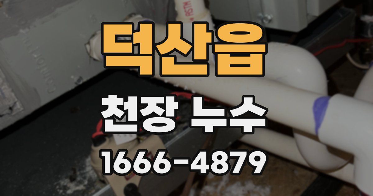 덕산읍 천장 누수