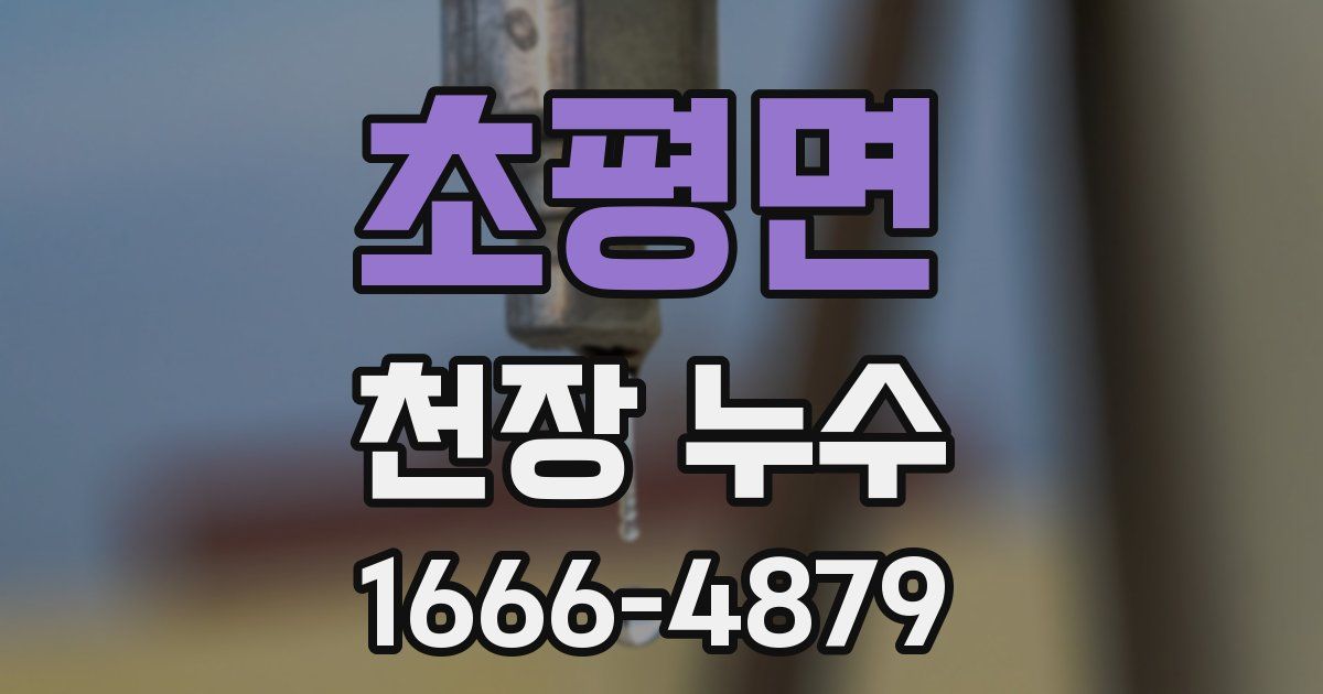 초평면 천장 누수