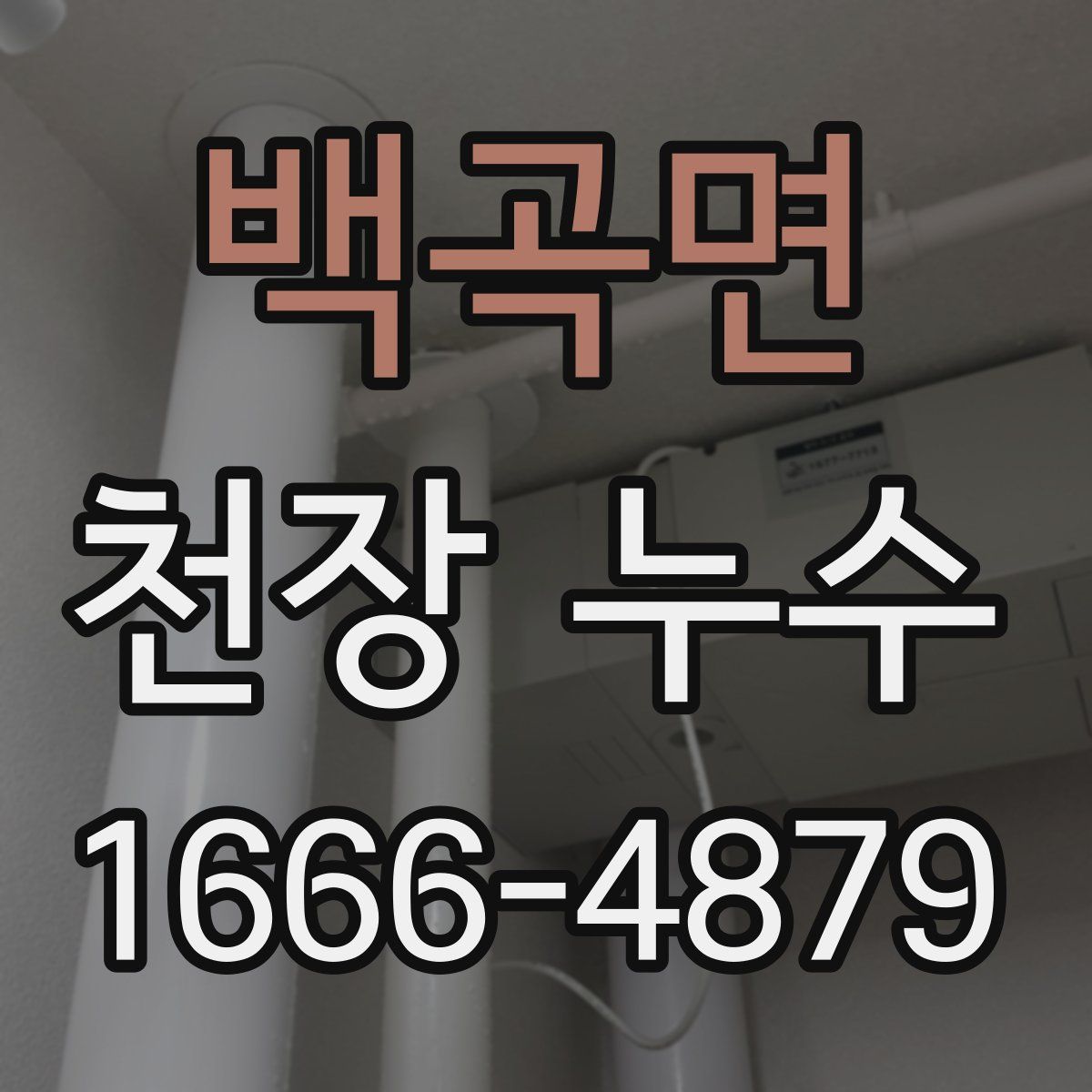 백곡면 천장 누수
