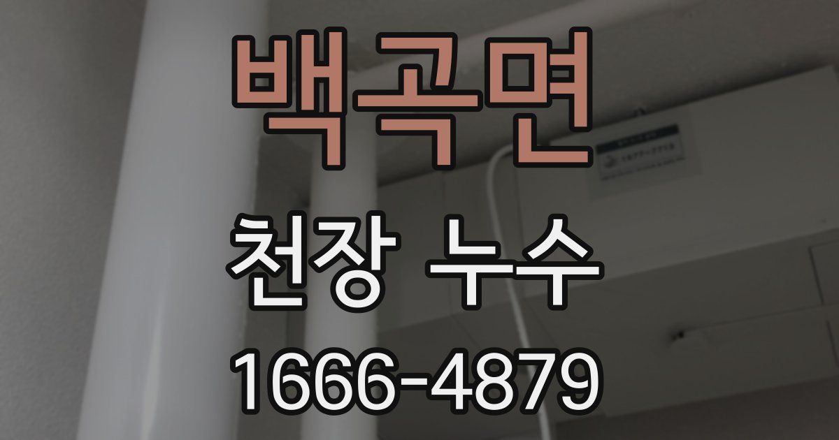 백곡면 천장 누수
