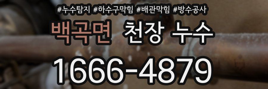 백곡면 천장 누수