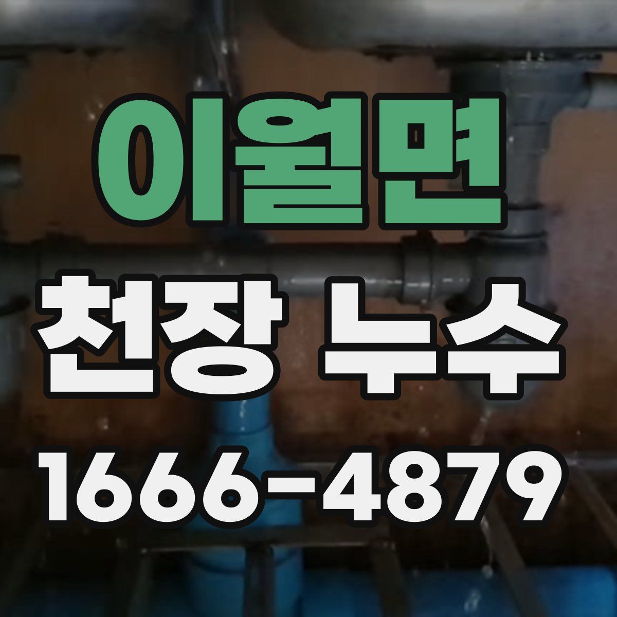 이월면 천장 누수