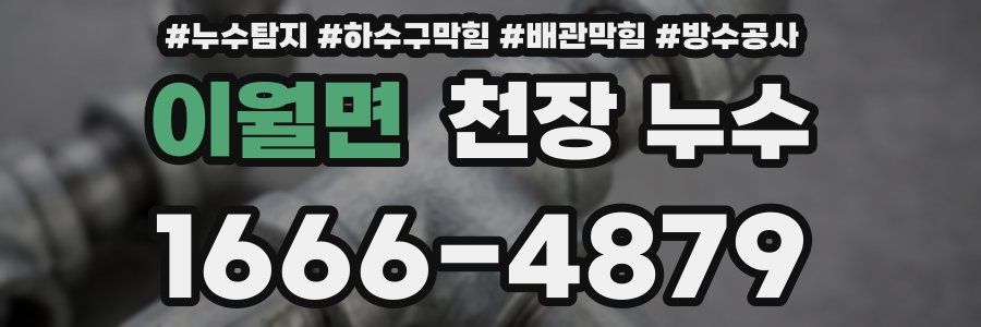 이월면 천장 누수