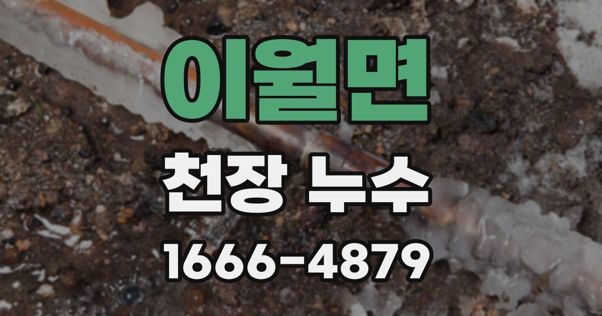 이월면 천장 누수