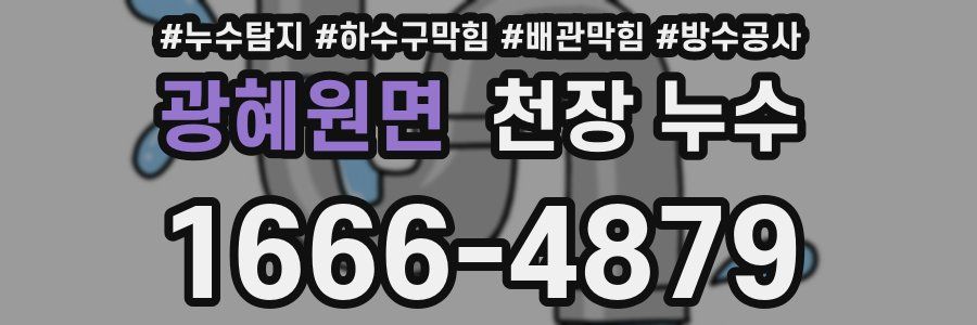 광혜원면 천장 누수