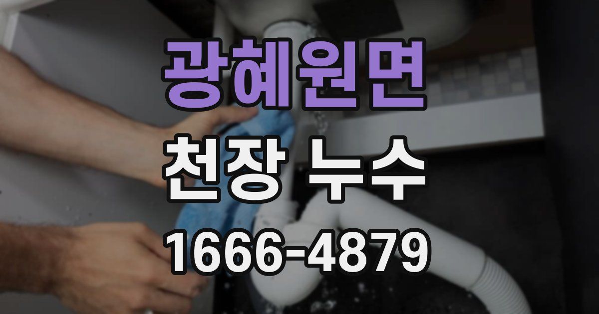 광혜원면 천장 누수