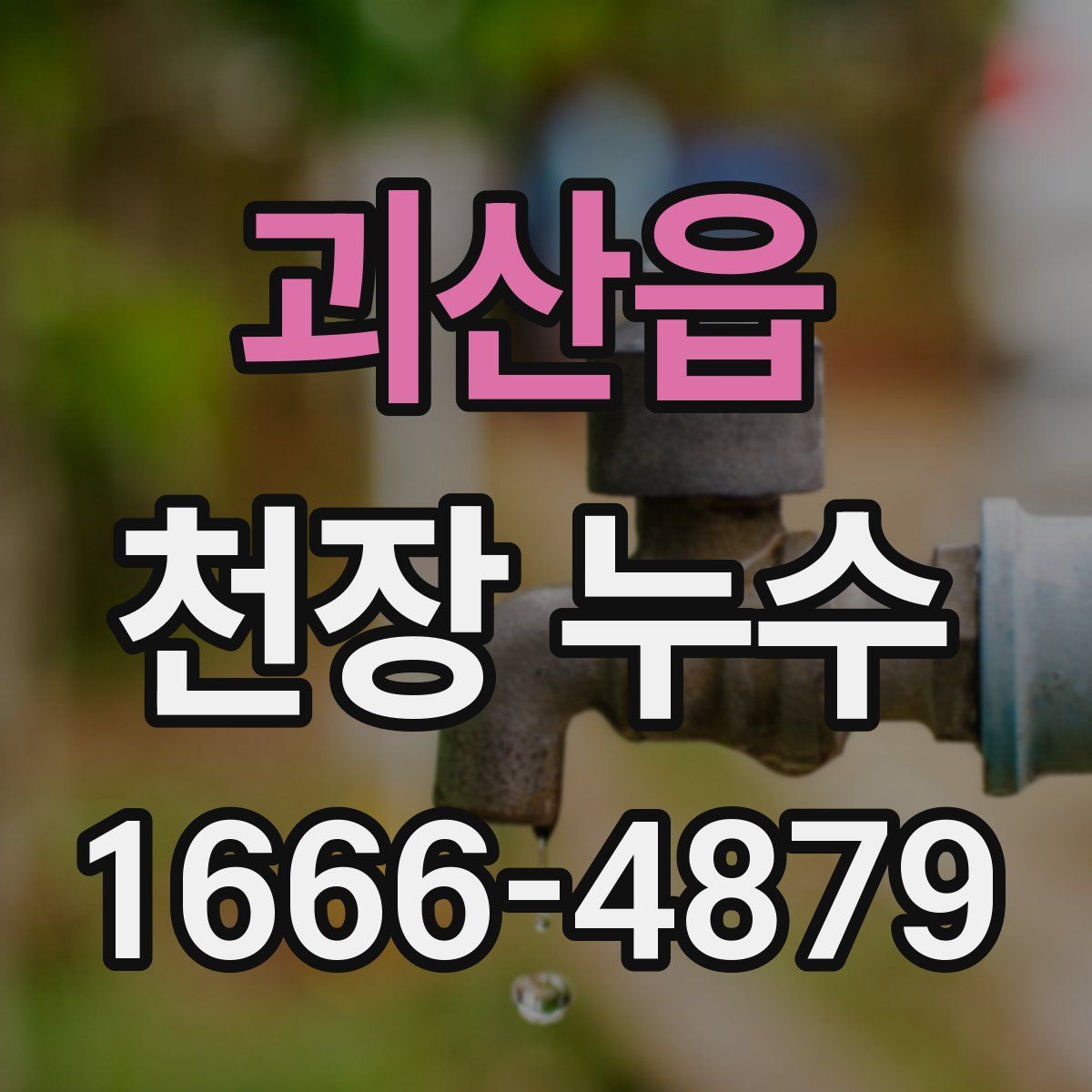 괴산읍 천장 누수