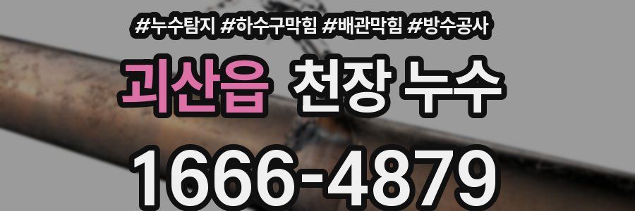 괴산읍 천장 누수