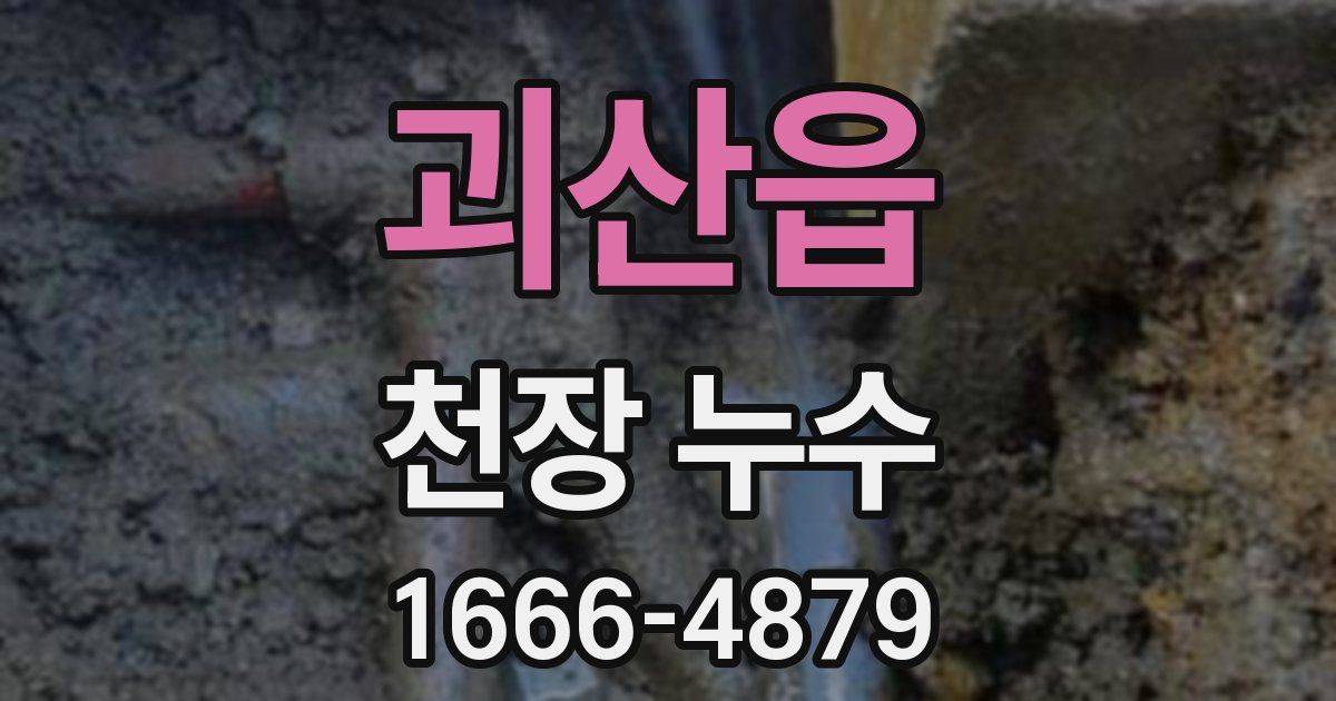 괴산읍 천장 누수