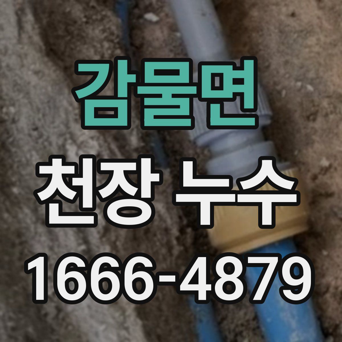 감물면 천장 누수