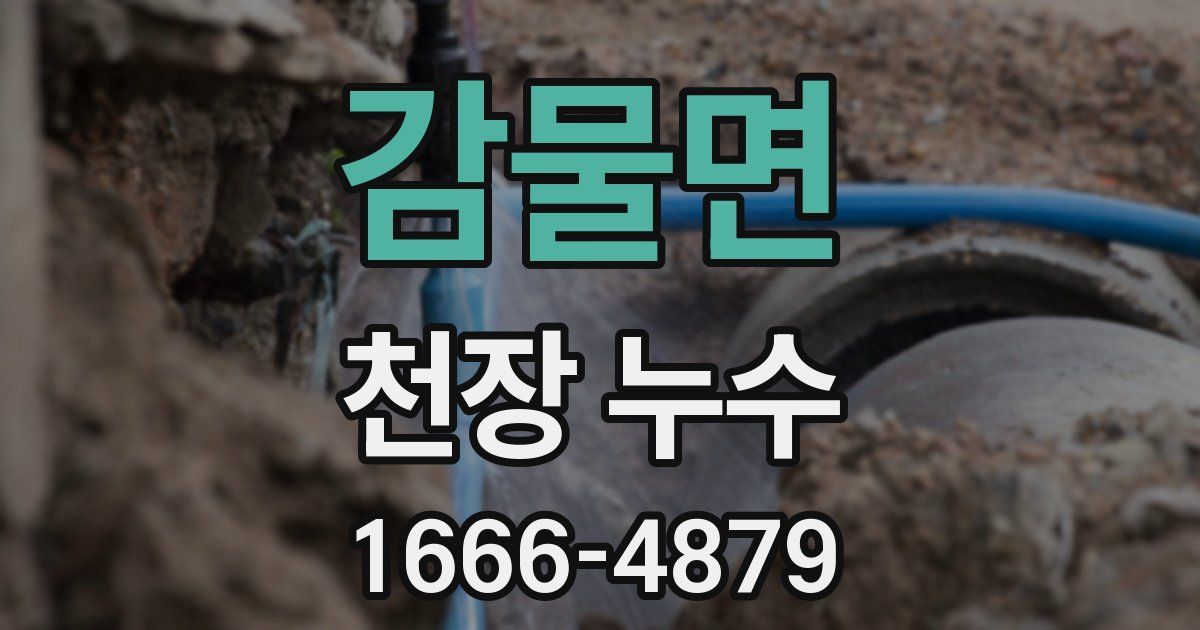 감물면 천장 누수